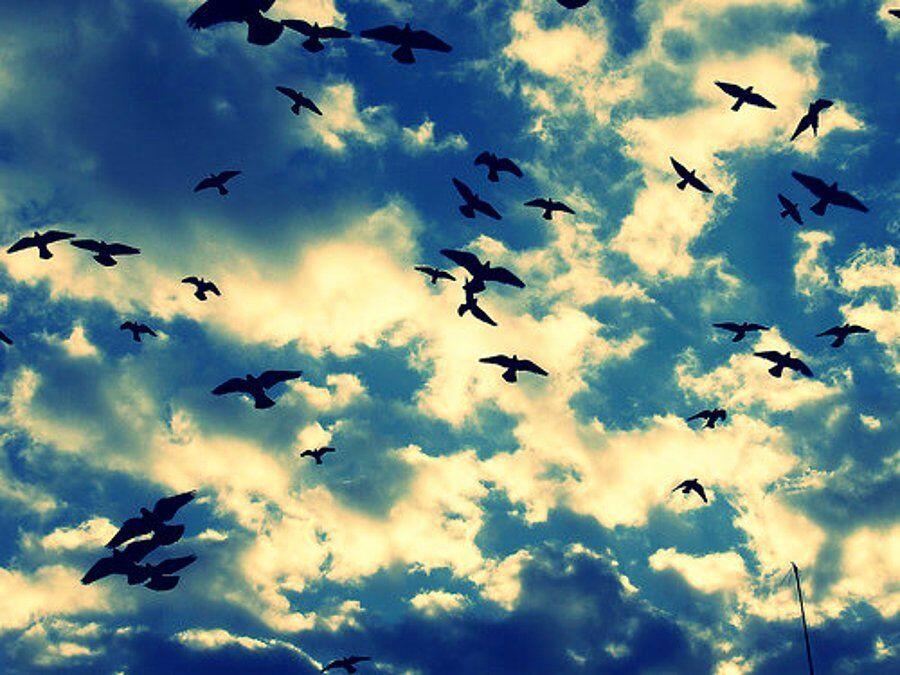 ВОЗВРАТА  НЕ  БЫВАЕТ