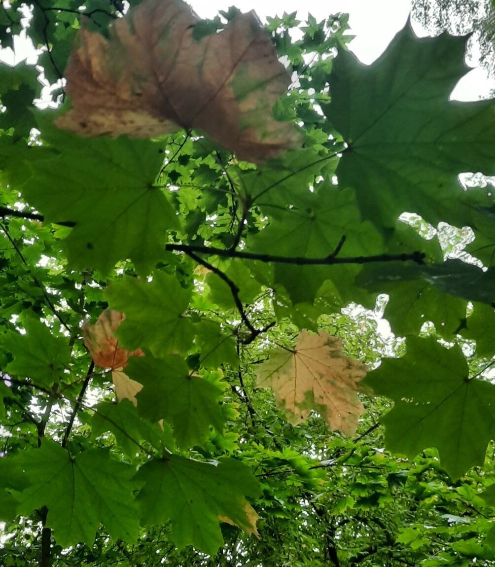 Ты меня не любишь