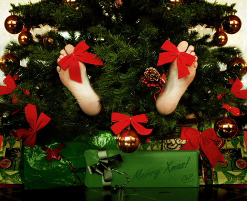 ЛАСКАЯ СУТЬ...