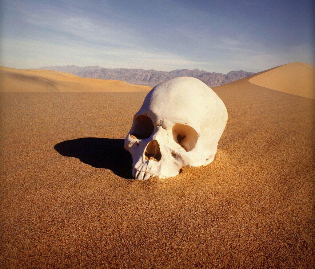 Пустыня забвения