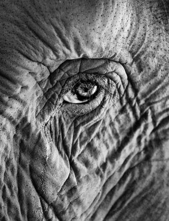 КОГДА СЕРДЦЕ БОЛИТ