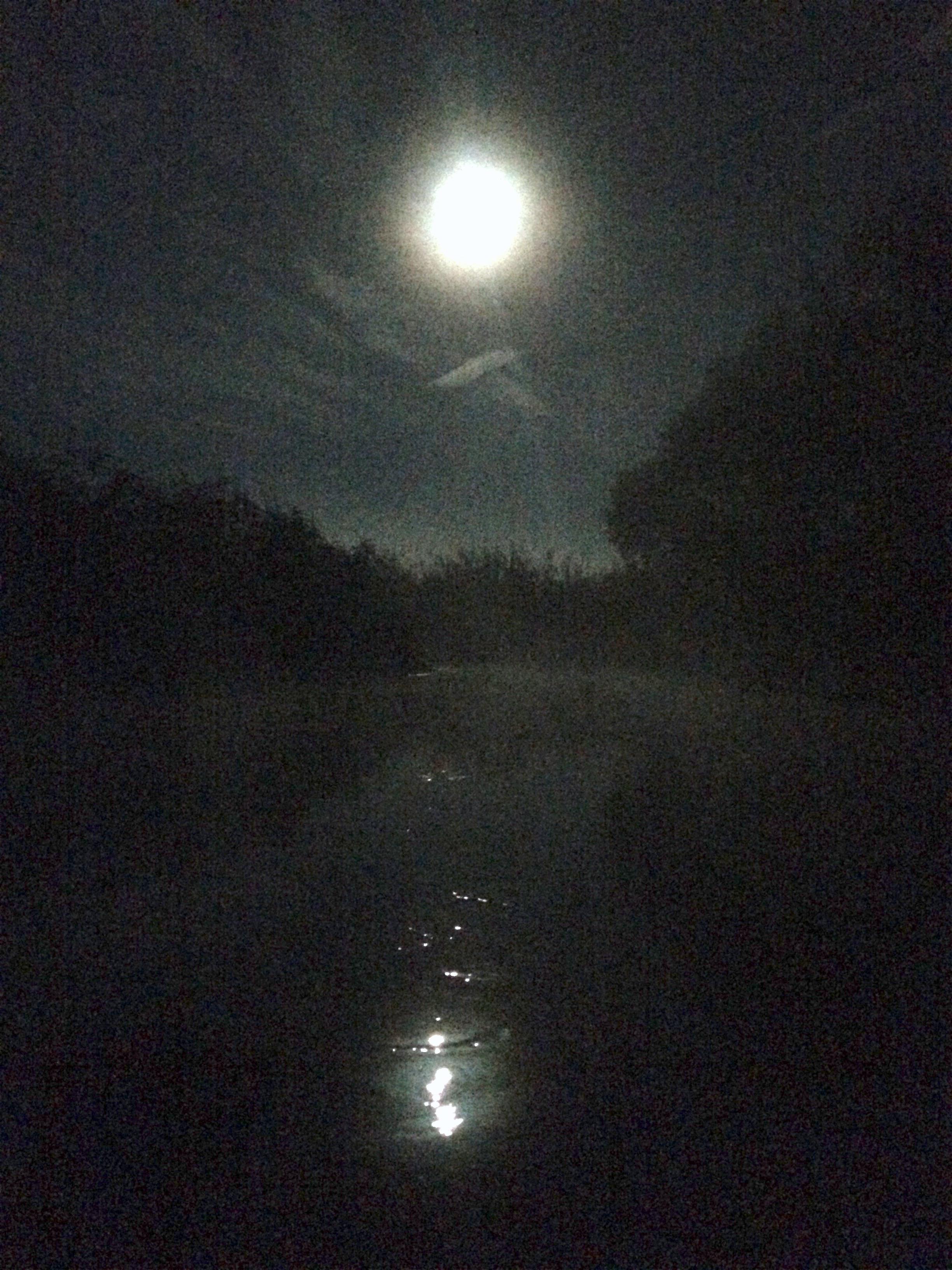 Впереди за туманом-новая жизнь!