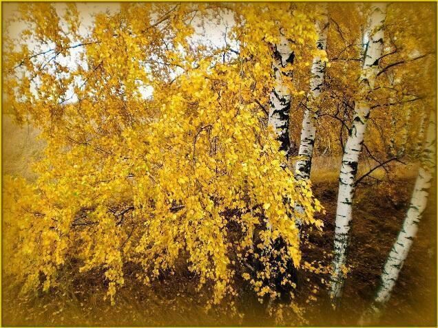 ОСЕННЯЯ ЛИРИКА