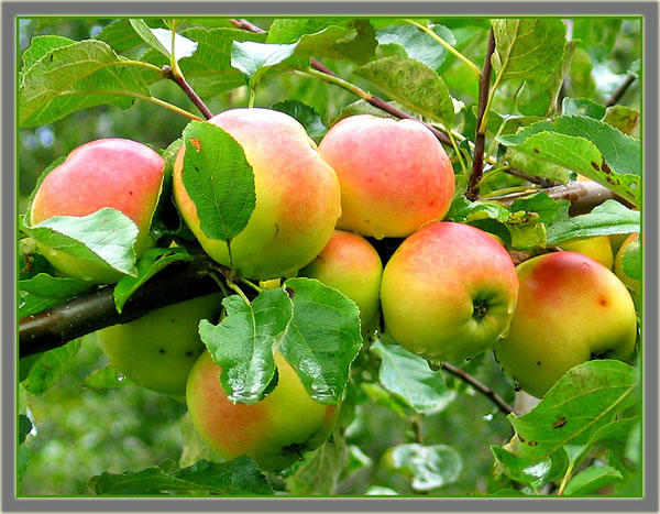 Летом нельзя грустить