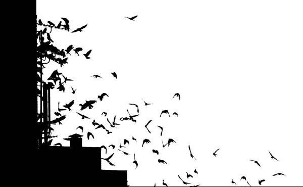 Теперь я знаю