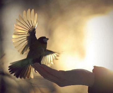 Любовь из жизни не уйдёт, если...