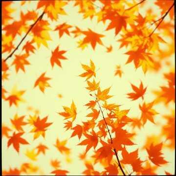 НеповторИма...