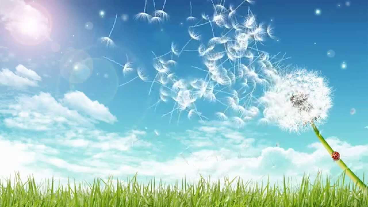 Воздушные парашютики...