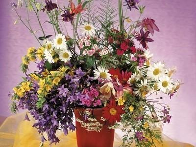 Эмоций западня