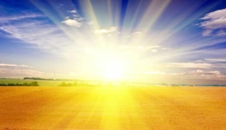 Жизнь в которой ты живёшь 