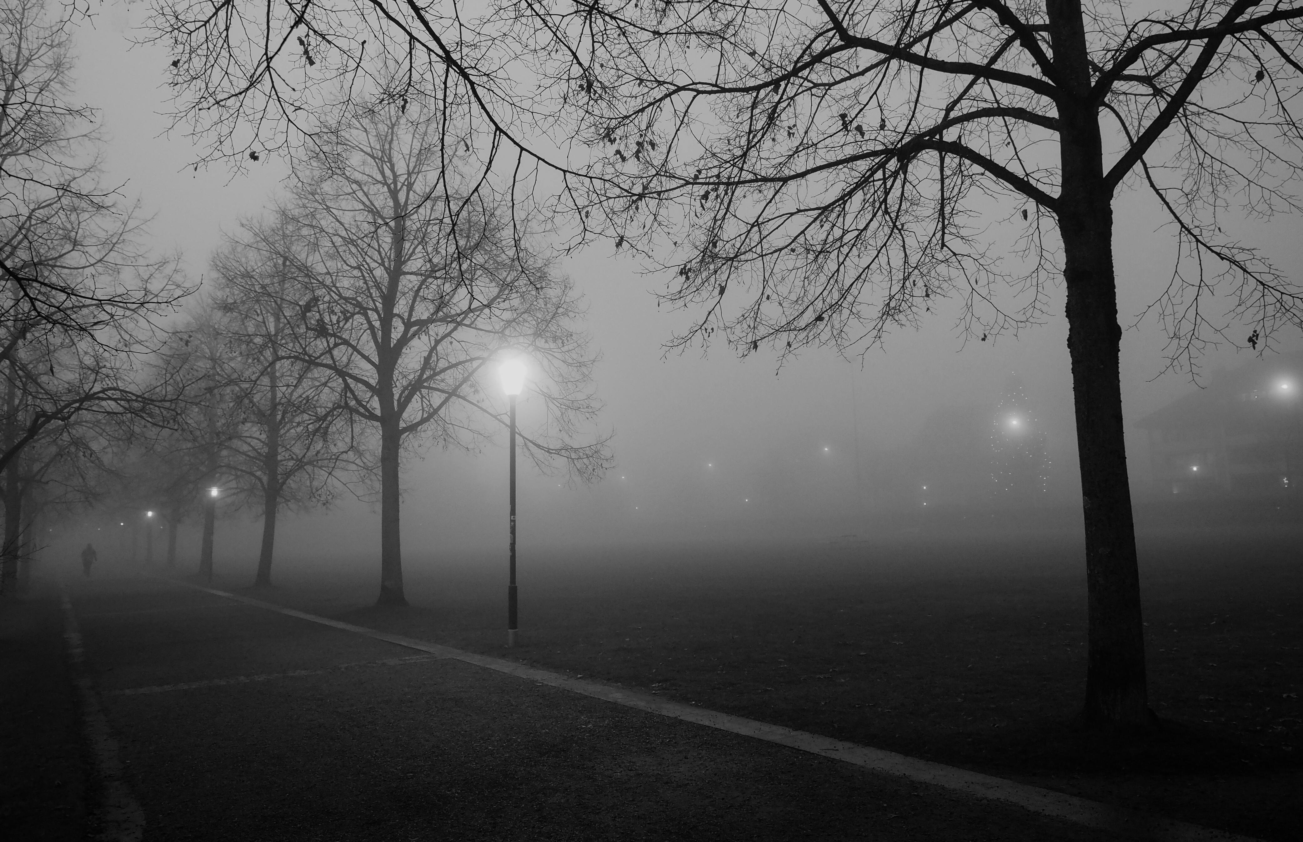 Город туман вечер. Темная улица с деревьями. Фонарь в тумане. Пустая улица в тумане. Туманный город.