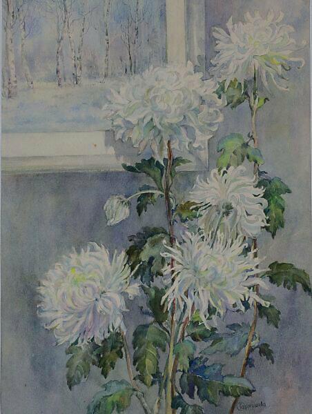 Хризантема