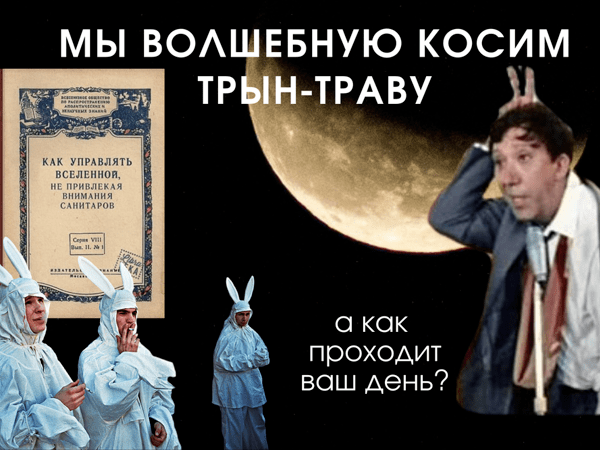 "На волю, в пампасы!"  ВОСЬМЕРИЧКИ