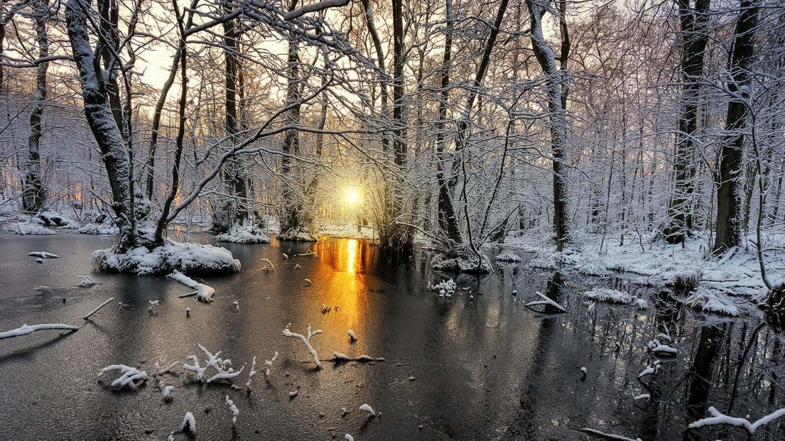 Первый снег тает...