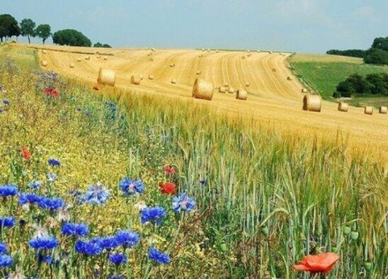 День особый.