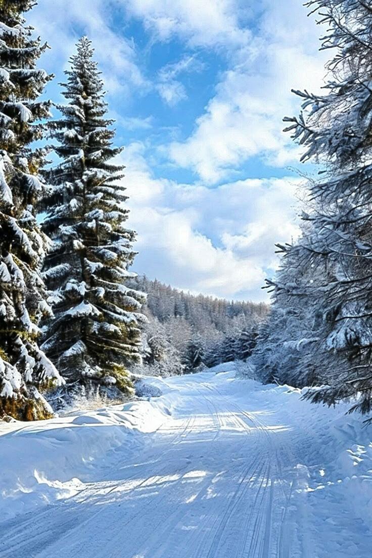 Ополчилась злая вьюга