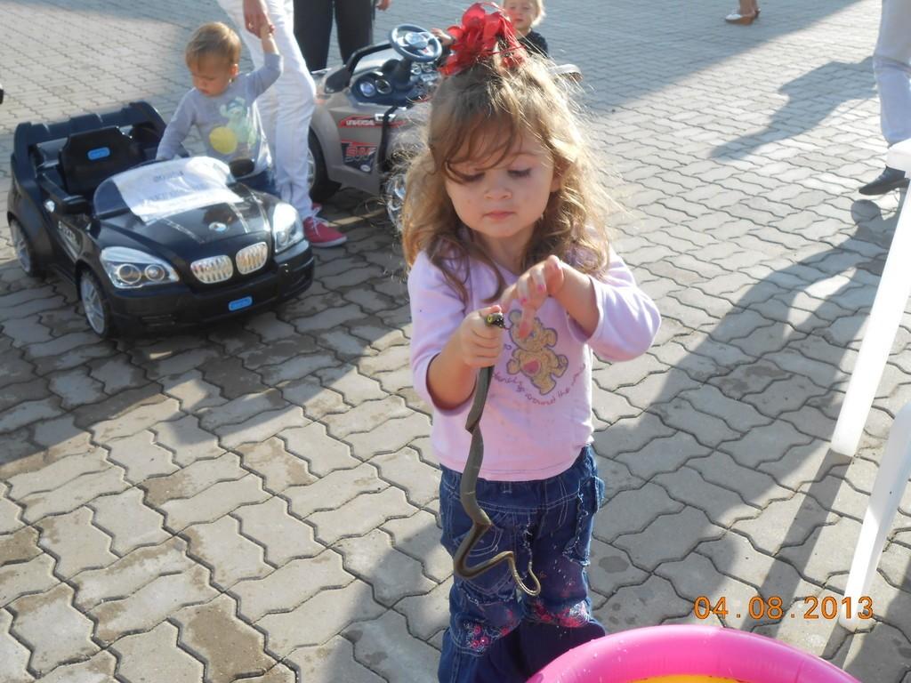 Змею совсем я не боюсь