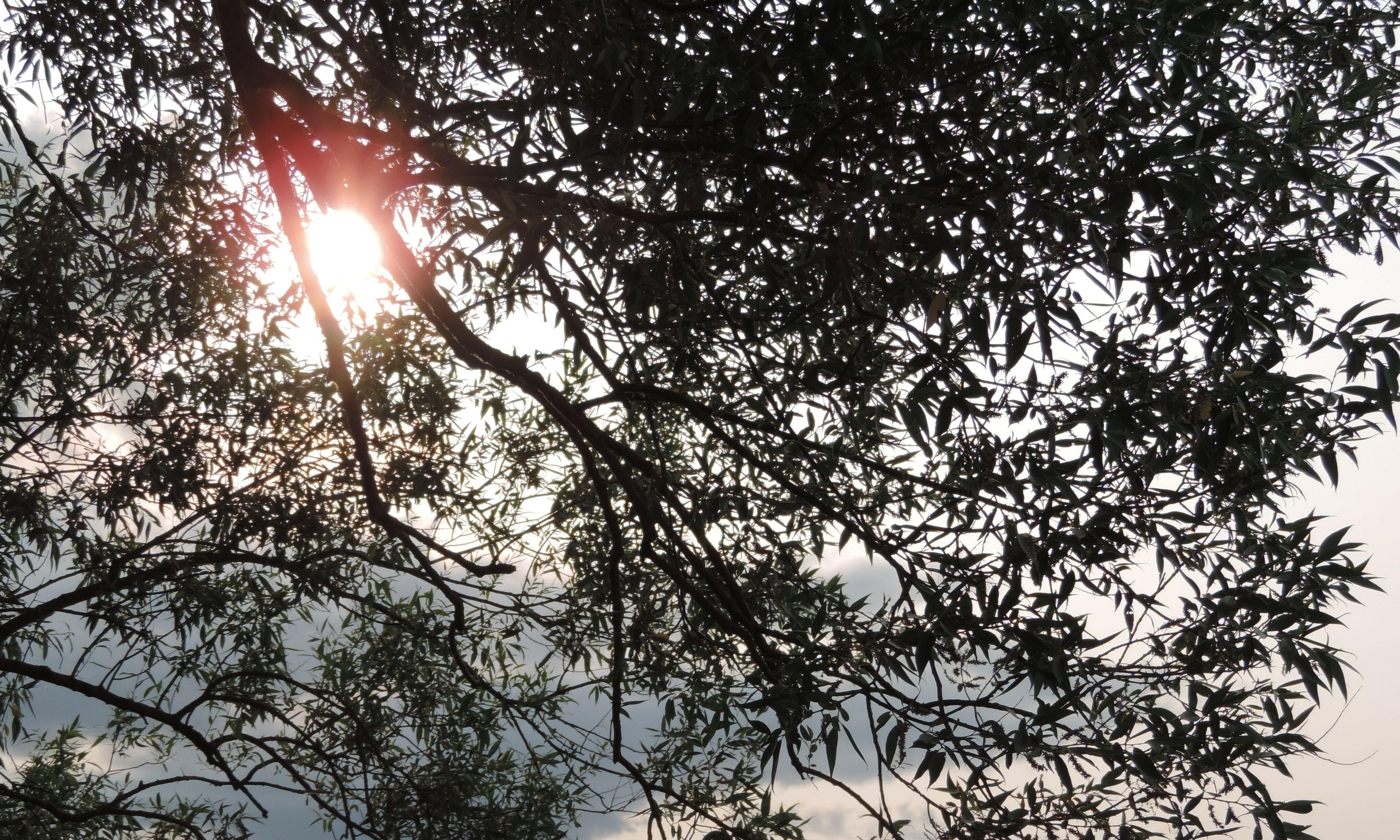 Было жарко до этого арктического вторжения.