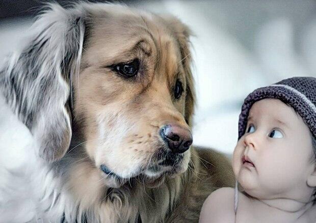 Познакомились