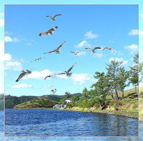 ИЮЛЬСКАЯ ЖАРА