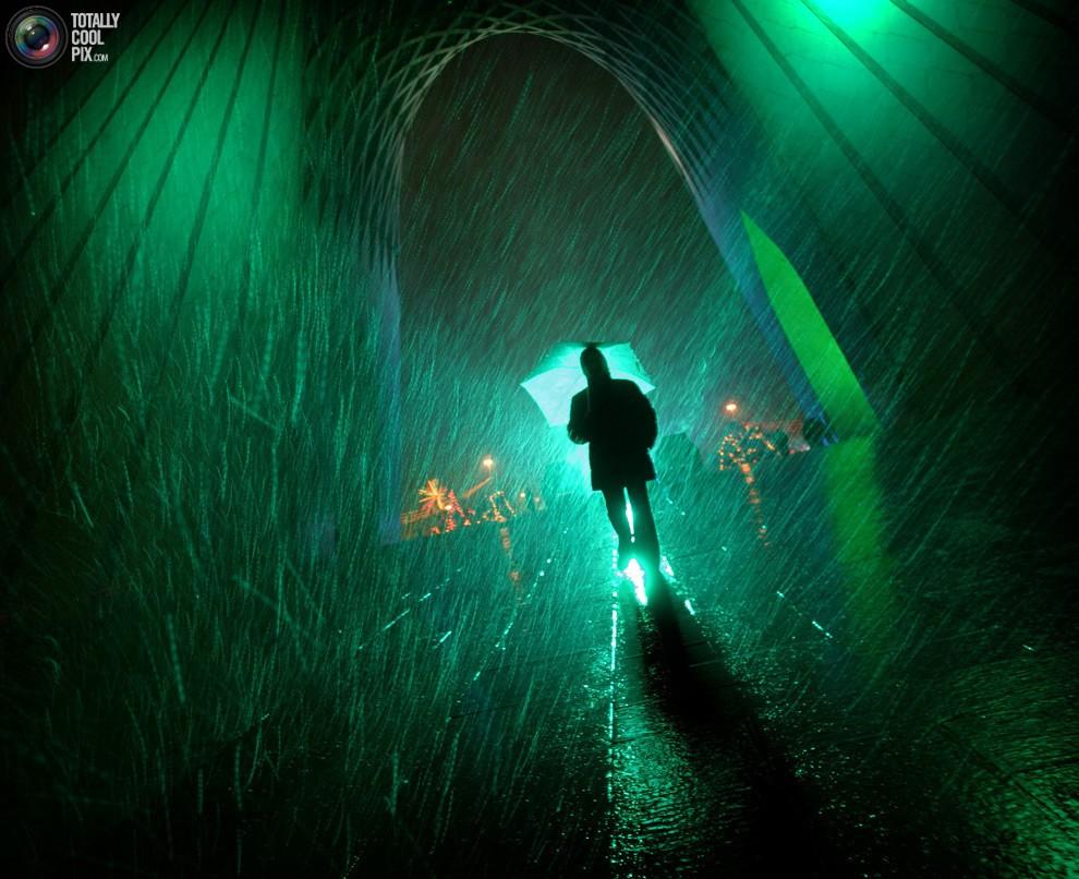 Зеленый свет