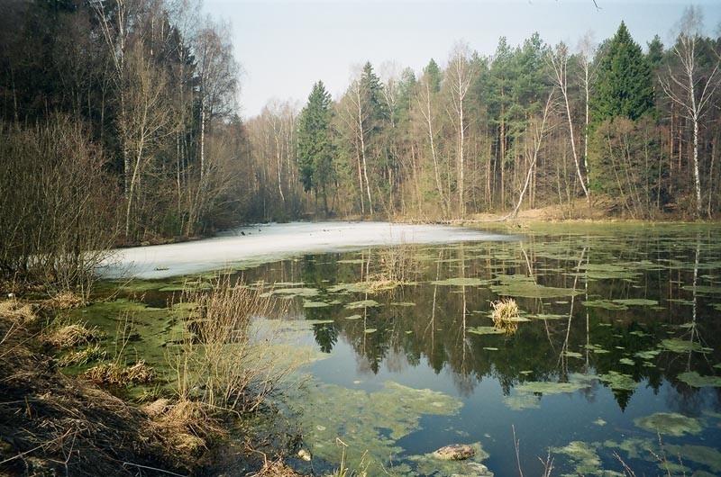 ВЕСЕННИЕ ГОЛОСА