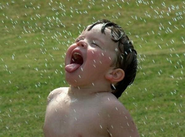 САЛЬВАДОРУ ДАЛИ