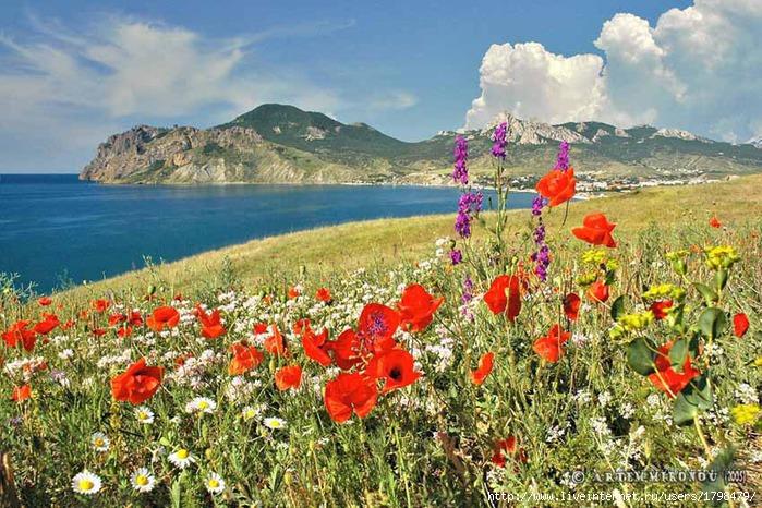 Поезд Минск-Симферополь стоит в тупике...