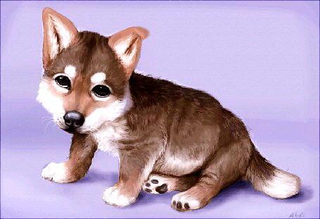 Бесконечная сказка про волчонка Васю