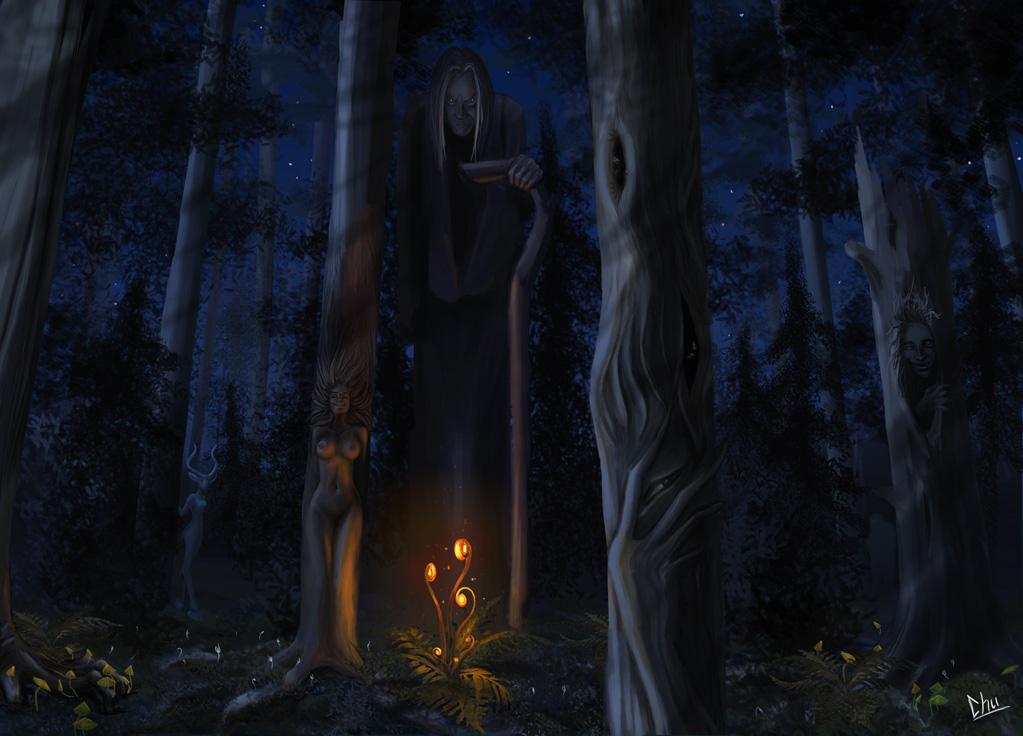 В дремучем лесу