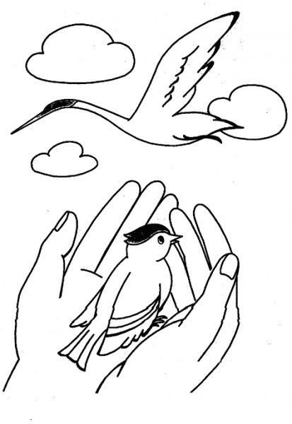 Синица и жувравль