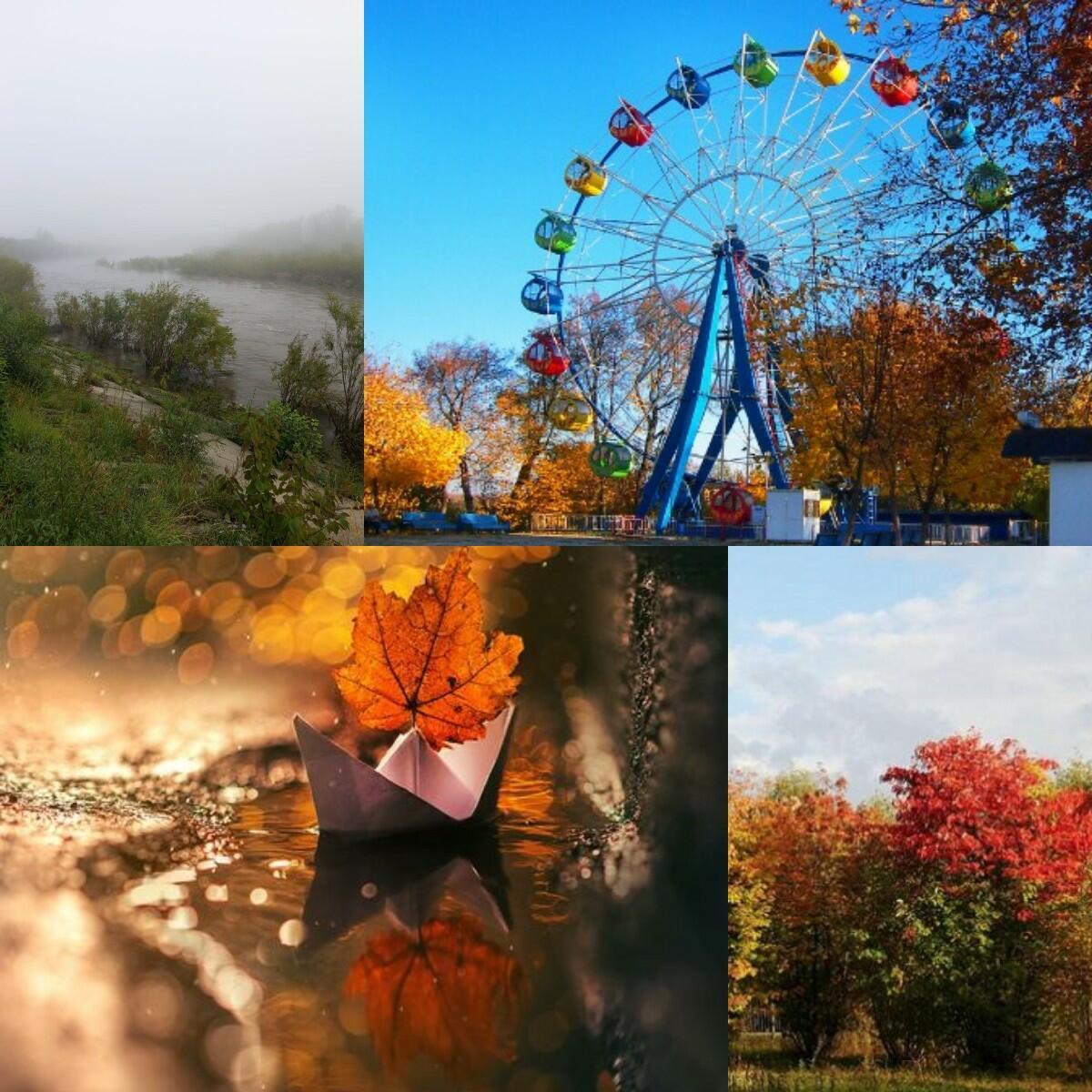 ---Осень необычная---