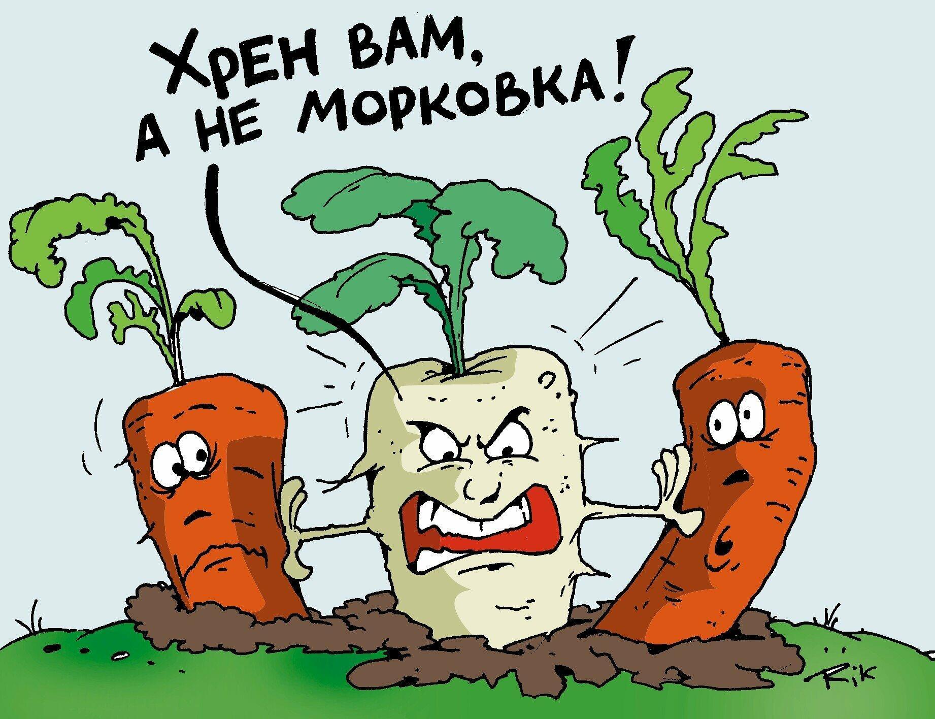 Хрен мальчика. Шутки про морковку. Морковка прикол. Овощи карикатура. Морковка карикатура.