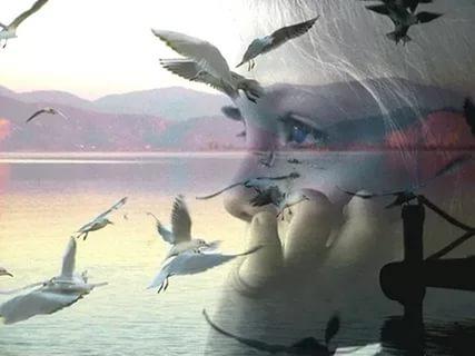 Если б стены…