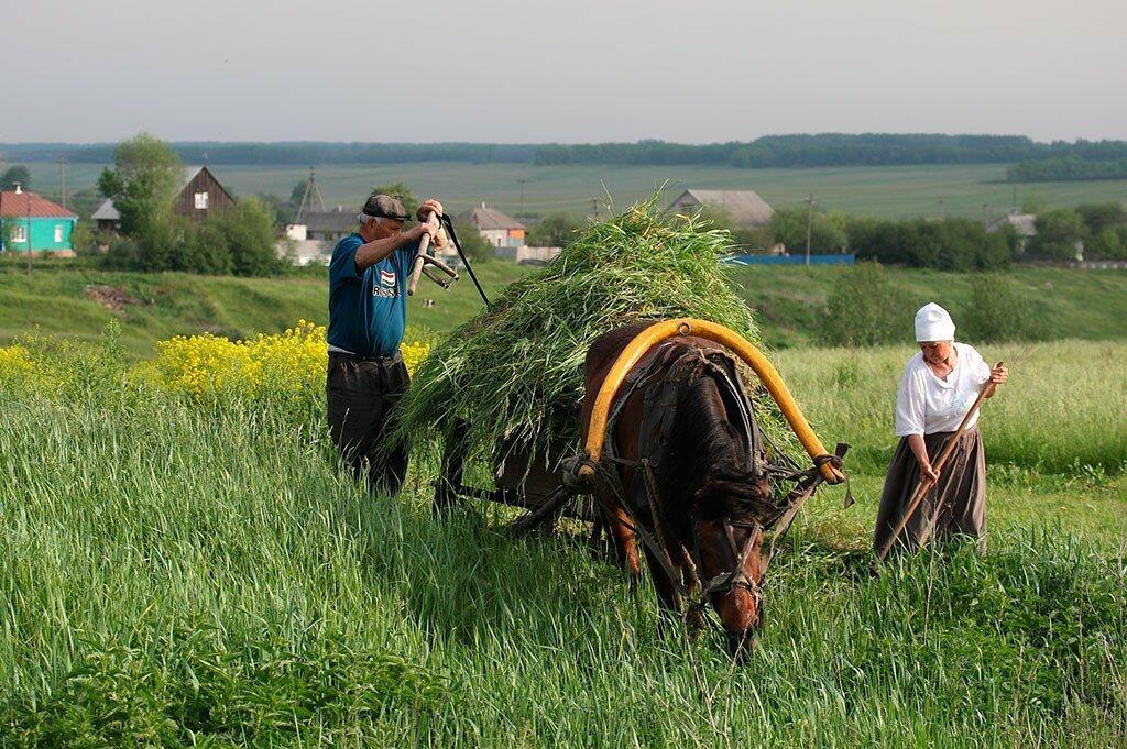 Духов День (песенный текст)