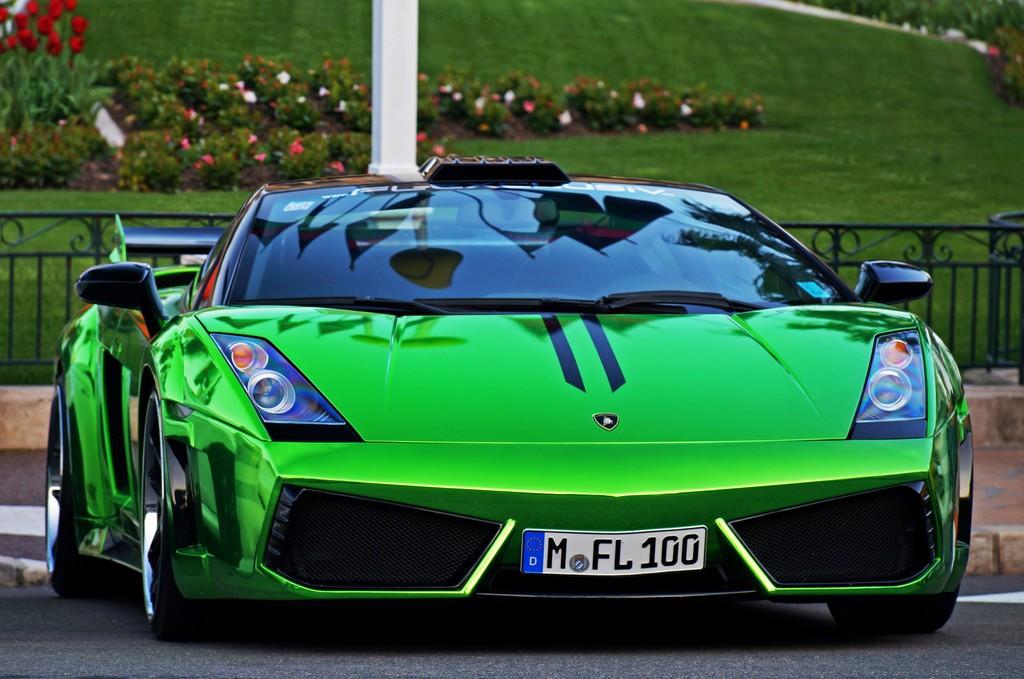 Мартышка и права