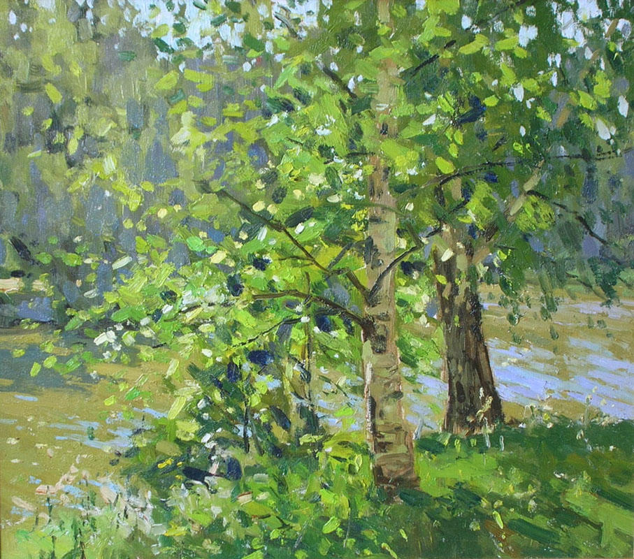 Здравствуй, берёзка