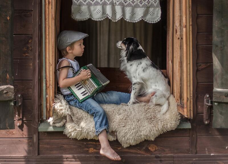 Собачий блюз