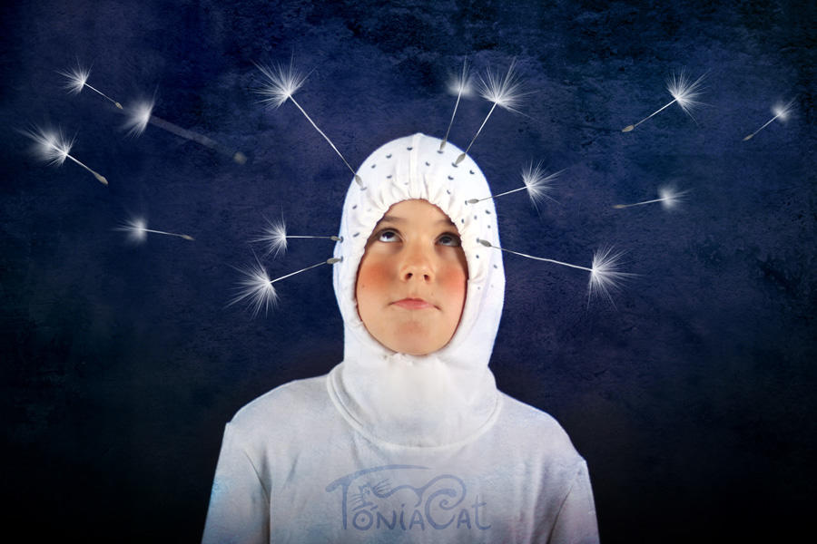 Диалог. Я всего лишь одуванчик