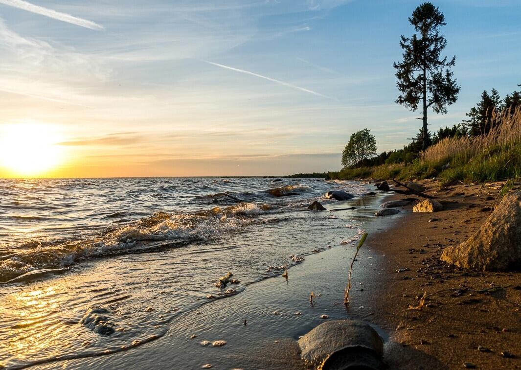 «Течёт моя родная Волга»