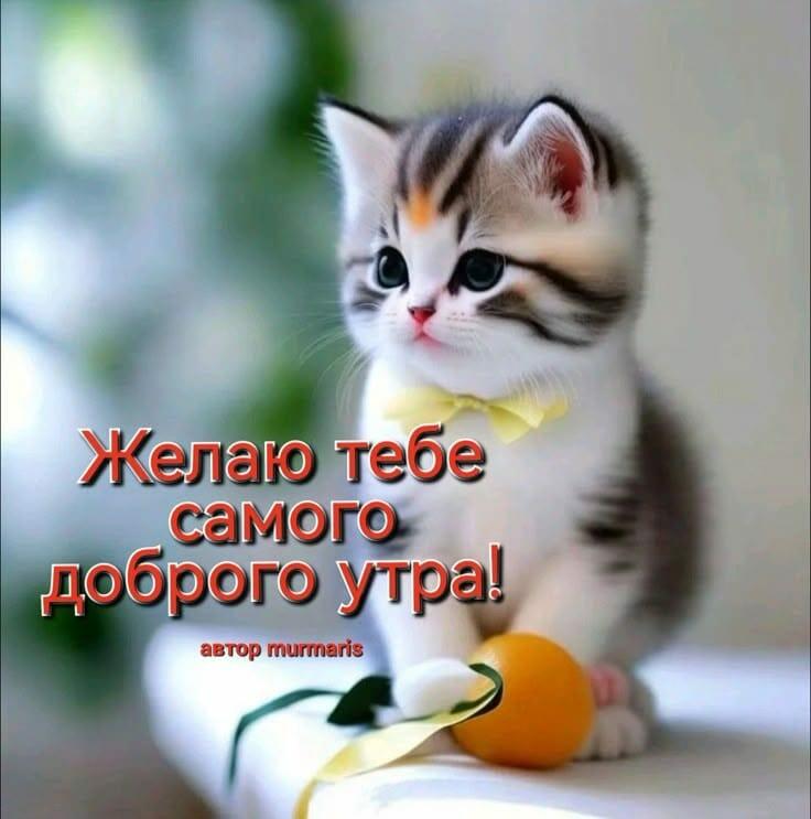 ПРЕКРАСНА ЖИЗНЬ В ЛЮБОЕ ВРЕМЯ ГОДА