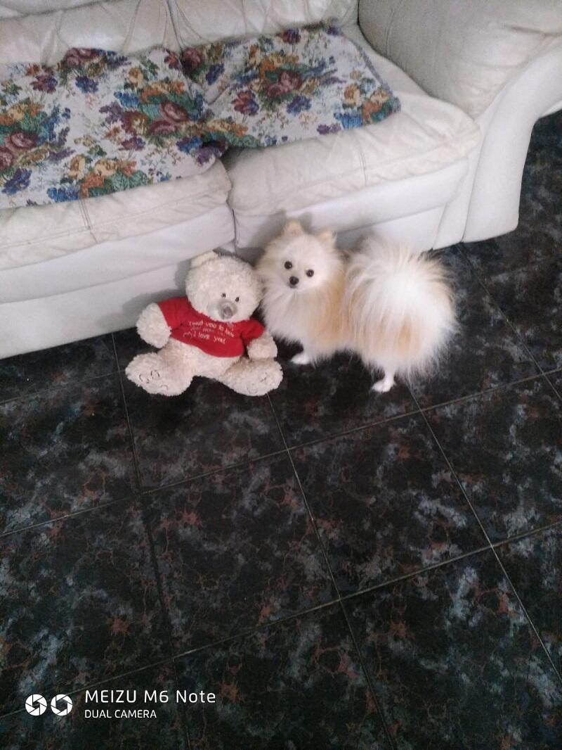 Монолог Айсика