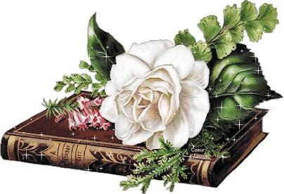 Поэтический терренкур