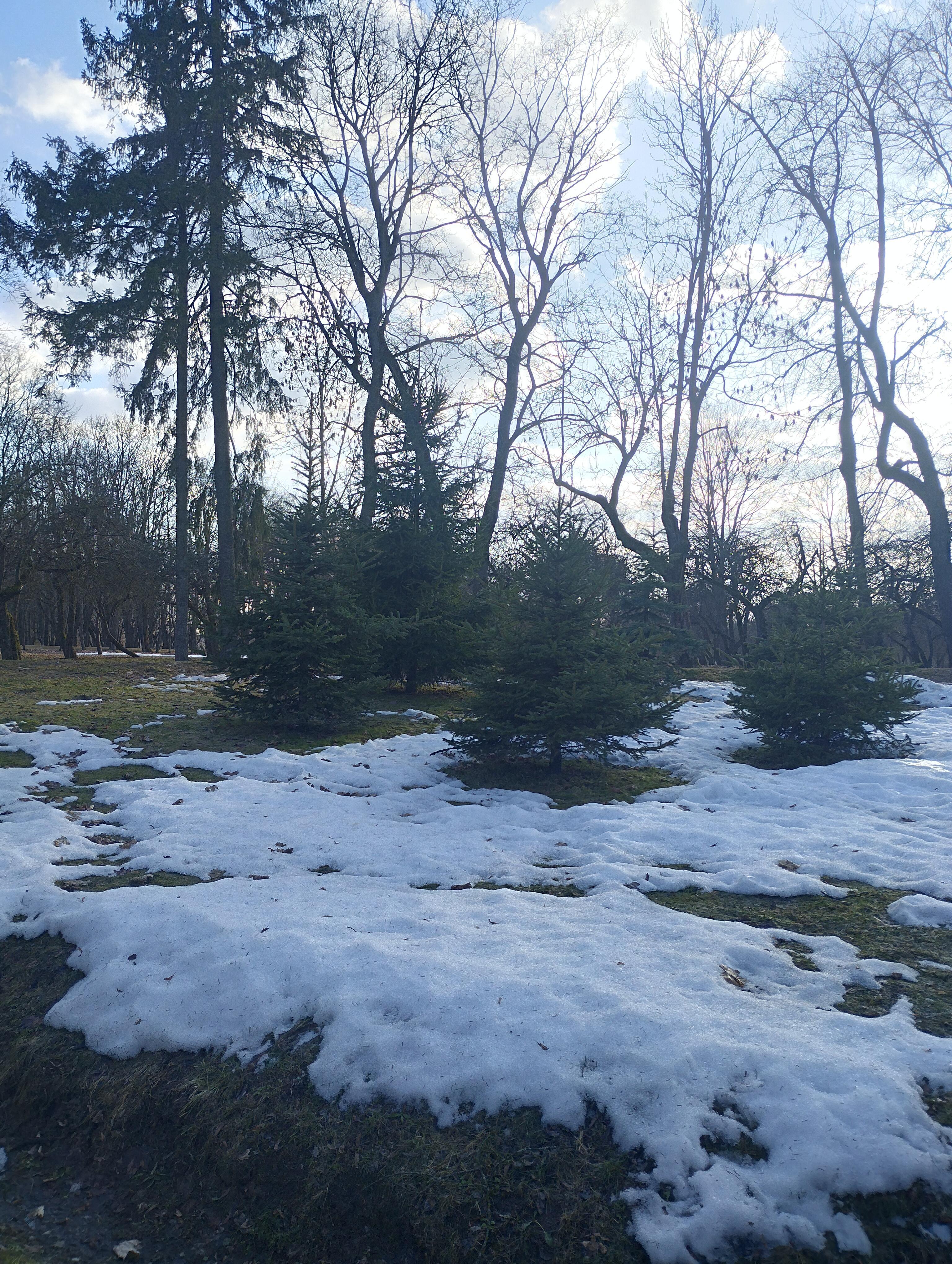 Четыре градуса тепла