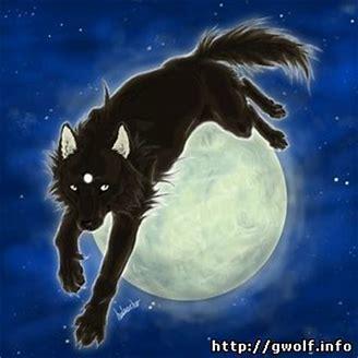 Волк и луна.