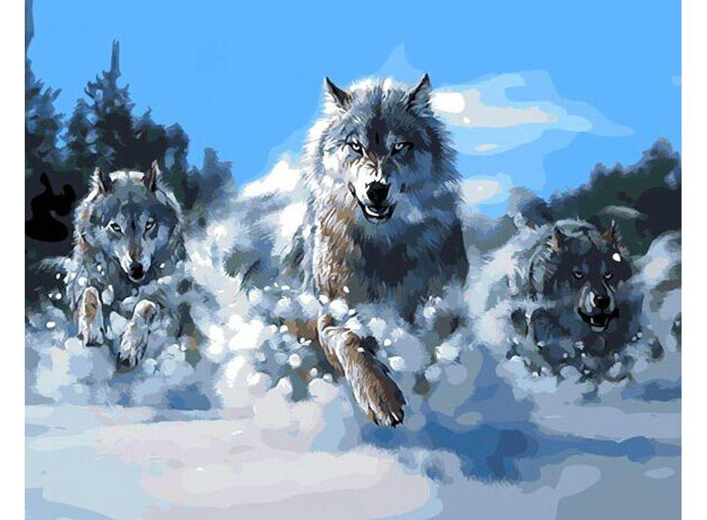 ВОЛЧЬЯ ШКУРА