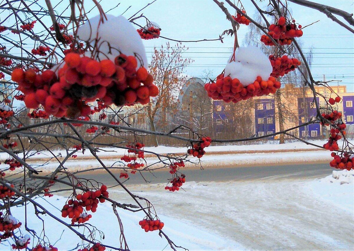 Морозно-солнечный октябрь