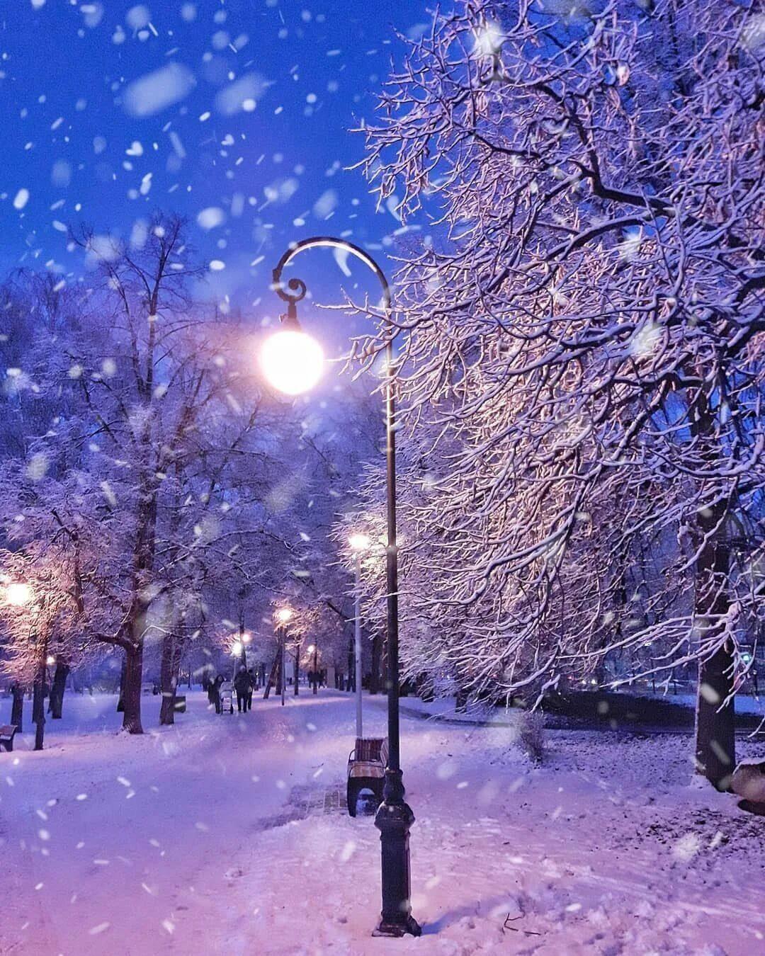 НЕ ВЕСНА ЛИ ЭТО?