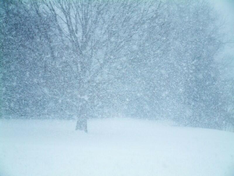 Снежный заряд