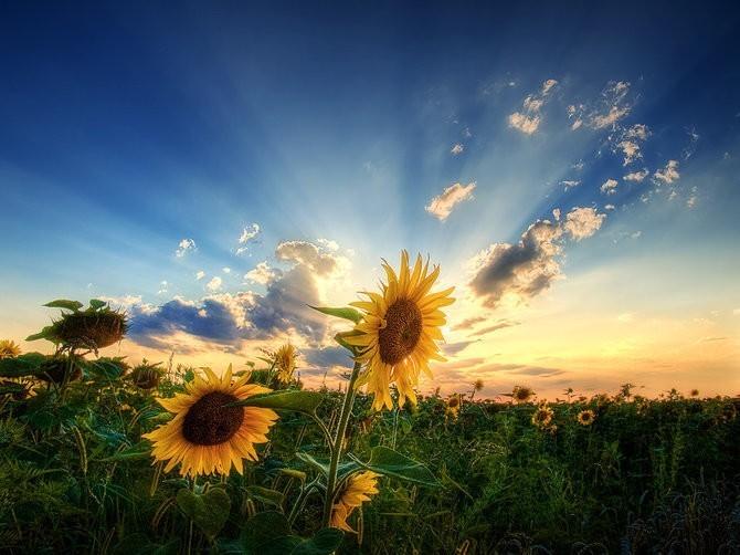 ПО ДОРОГЕ В БЕЛГОРОД